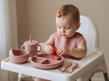 ערכת האכלה ראשונה לתינוק
